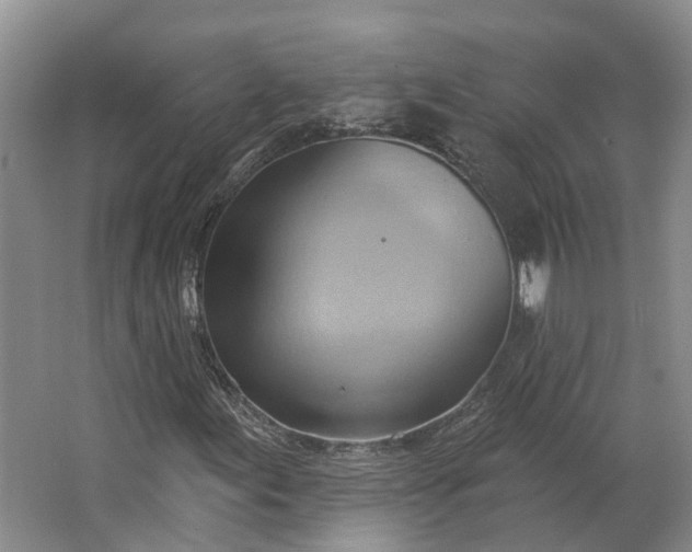 X0000062791155200601051038