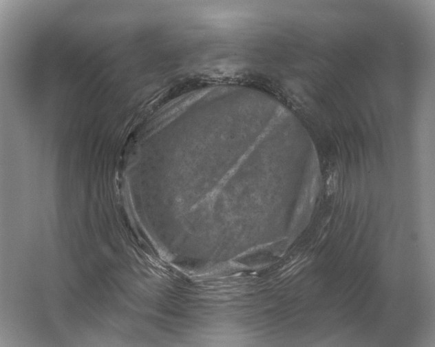 X0000062791156200601051038