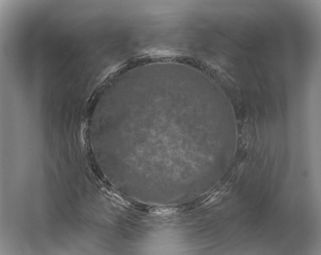 X0000062791157200601051038