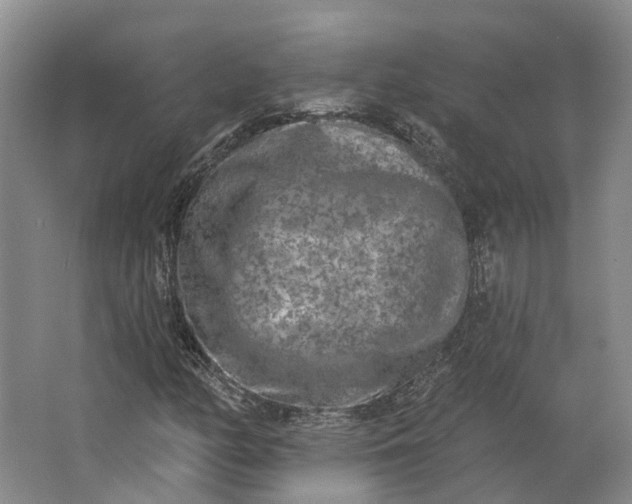 X0000062791158200601051038