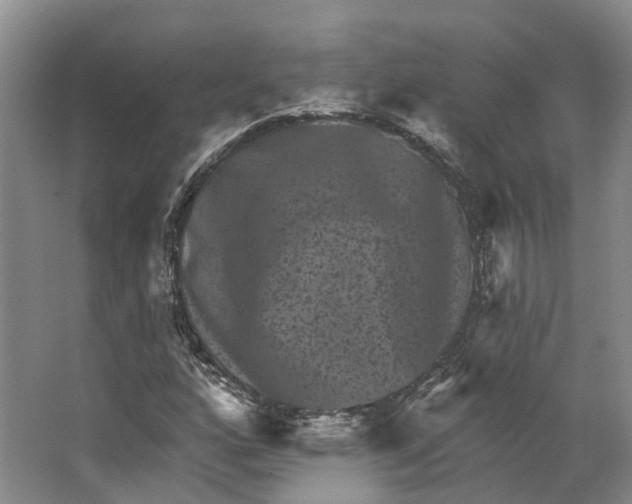 X0000062791160200601051038