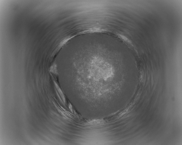 X0000062791161200601051038