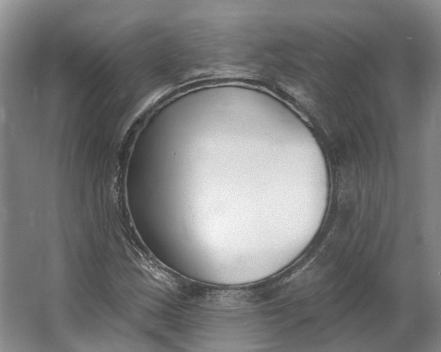 X0000062791163200601051038