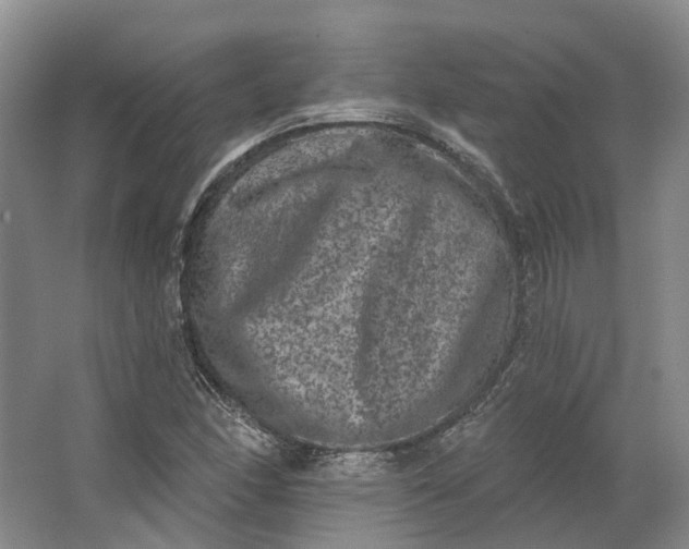 X0000062791166200601051038