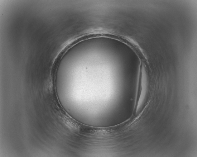 X0000062791167200601051038