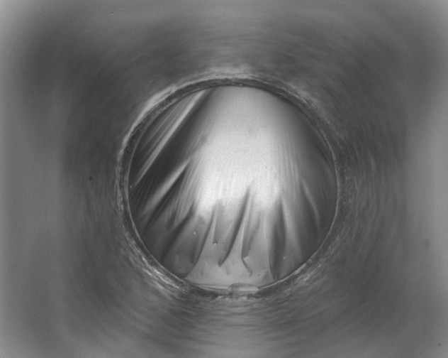 X0000062791168200601051038