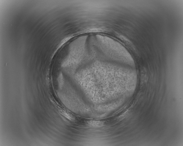 X0000062791170200601051038