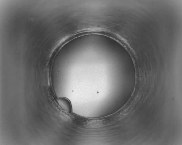 X0000062791171200601051038