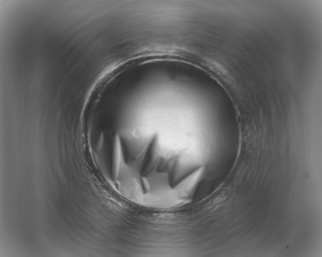 X0000062791172200601051038