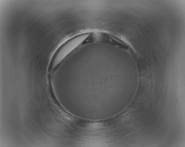 X0000062791173200601051038