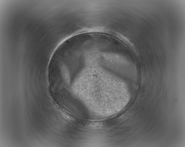 X0000062791174200601051038