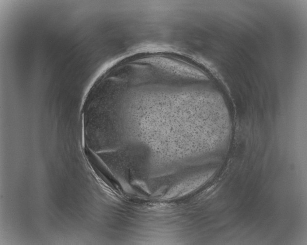 X0000062791175200601051038