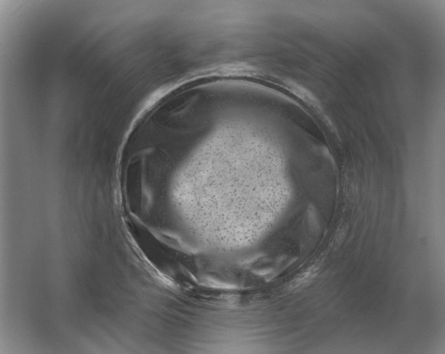 X0000062791176200601051038