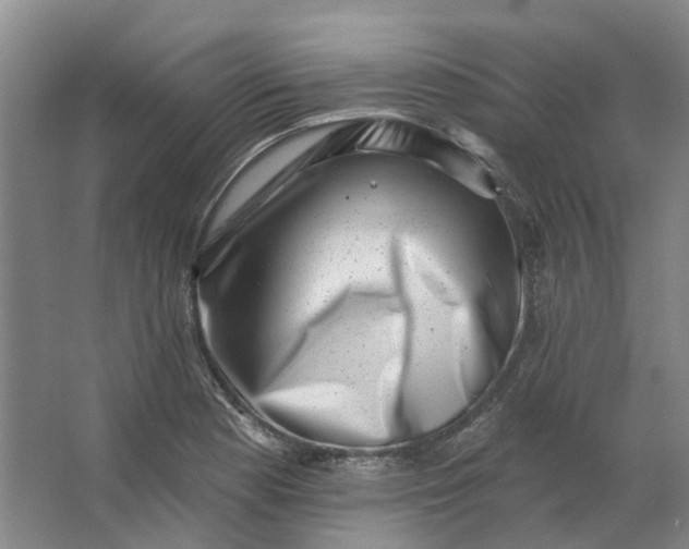 X0000062791177200601051038