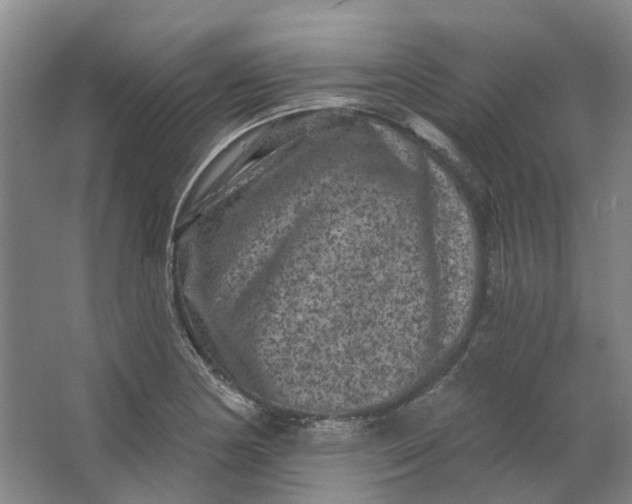 X0000062791178200601051038