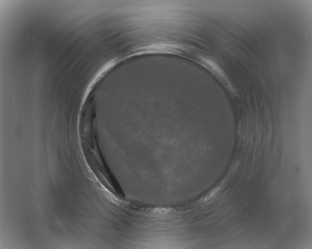 X0000062791180200601051038