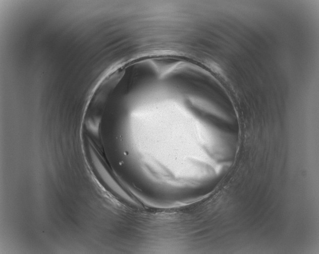 X0000062791181200601051038