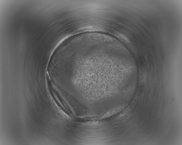 X0000062791182200601051038