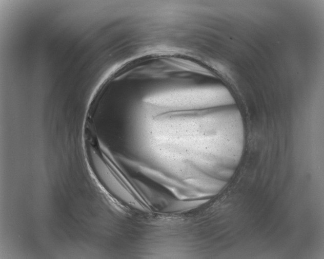 X0000062791183200601051038