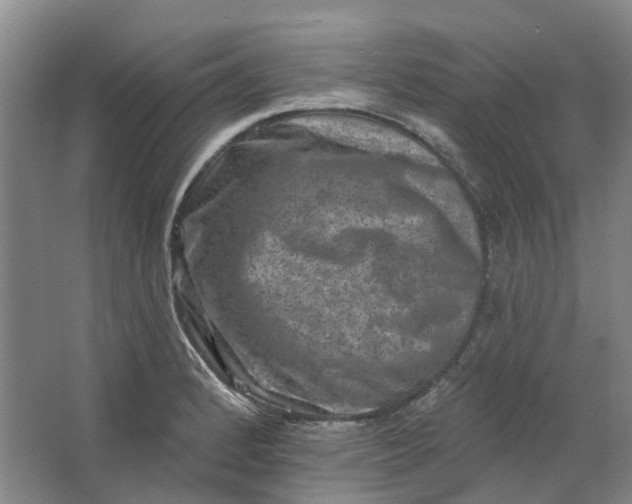 X0000062791184200601051038