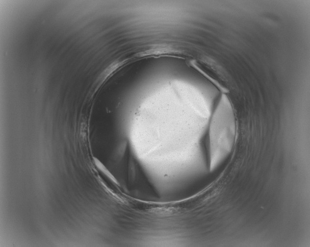 X0000062791185200601051038