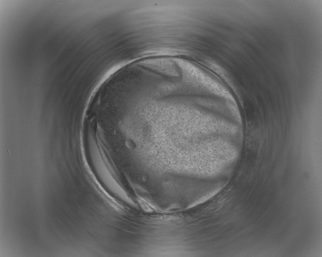 X0000062791187200601051038