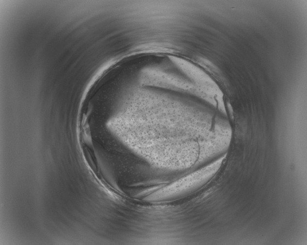 X0000062791188200601051038