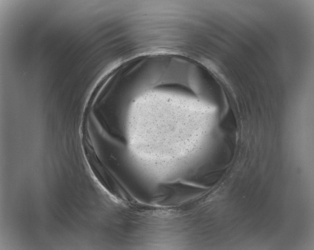 X0000062791189200601051038