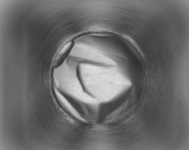 X0000062791191200601051037