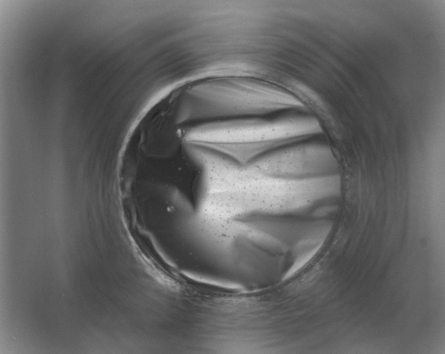 X0000062791192200601051037