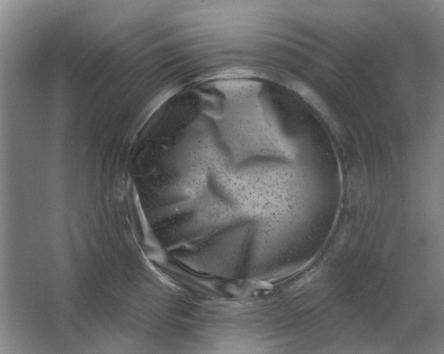 X0000062791193200601051037