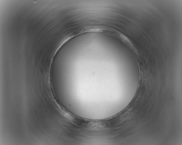 X0000062791194200601051037