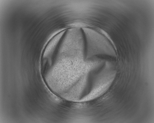 X0000062791195200601051037