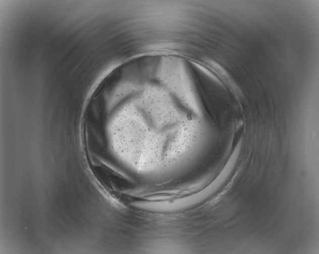 X0000062791196200601051037