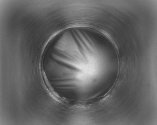 X0000062791197200601051037