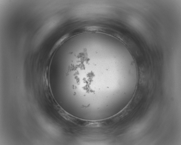 X0000062791198200601051037