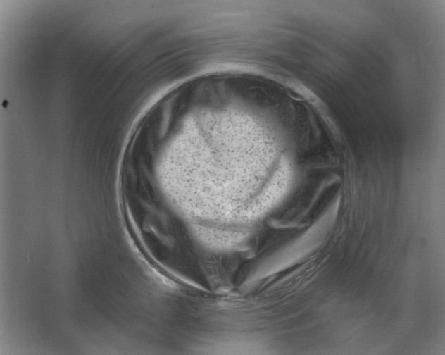 X0000062791199200601051037