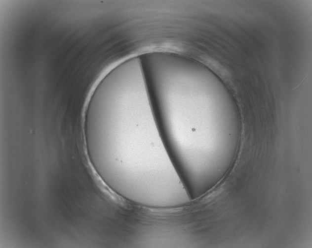 X0000062791200200601051037