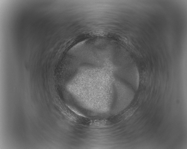 X0000062791201200601051037