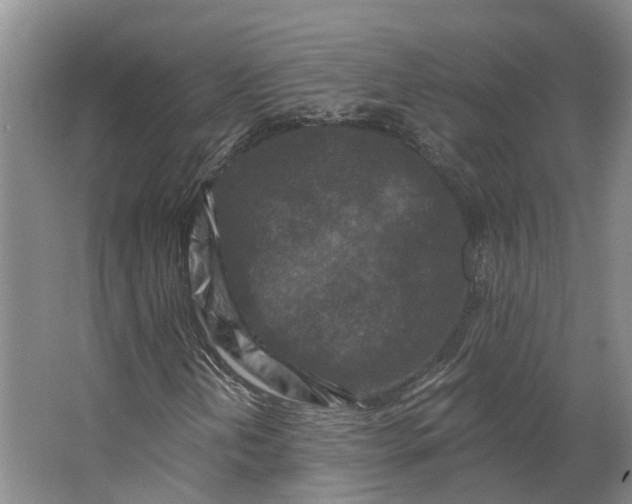 X0000062791202200601051037