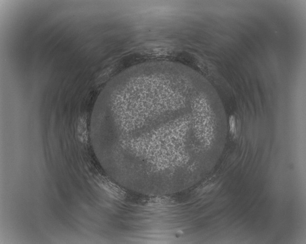 X0000062791203200601051037