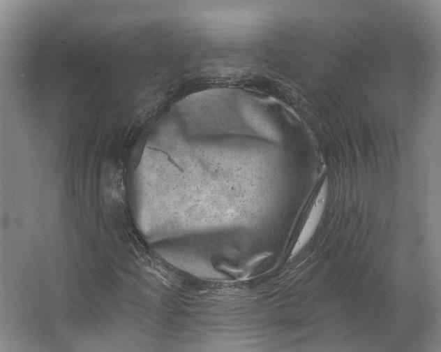 X0000062791204200601051037