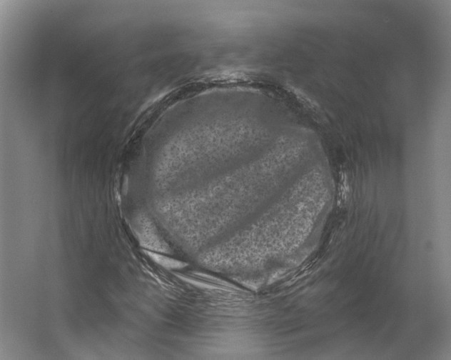 X0000062791206200601051037