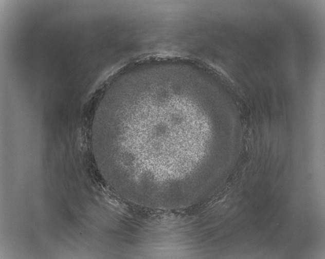 X0000062791207200601051037