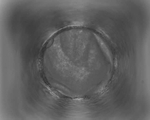 X0000062791208200601051037