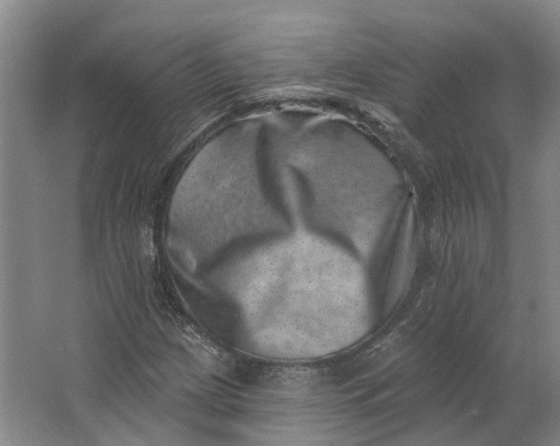 X0000062791209200601051037