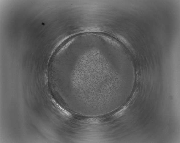 X0000062791212200601051037