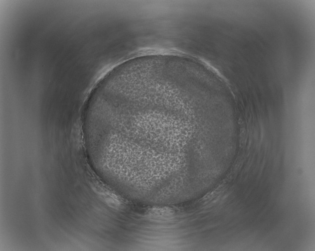 X0000062791215200601051037