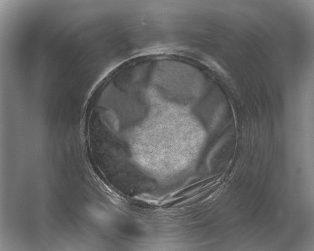 X0000062791216200601051037