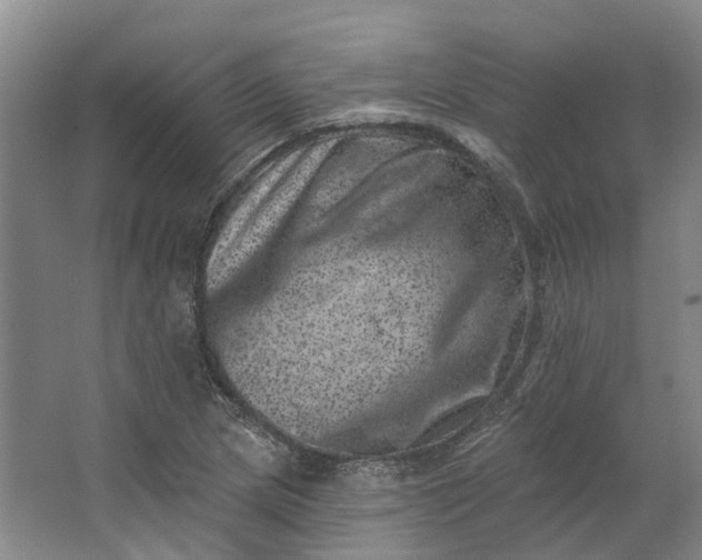 X0000062791217200601051037